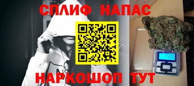 гашик Беслан
