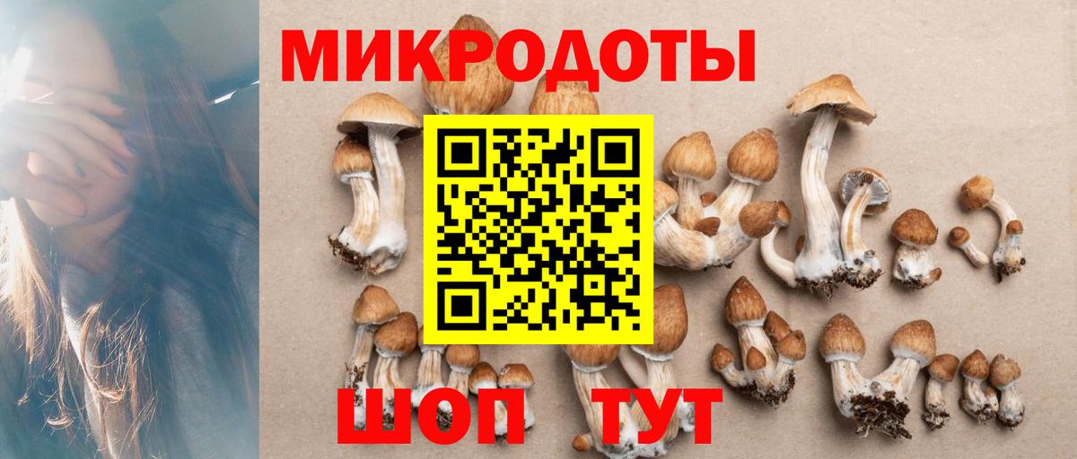 Галлюциногенные грибы Magic Shrooms  Вход с VPN  Кашира 
