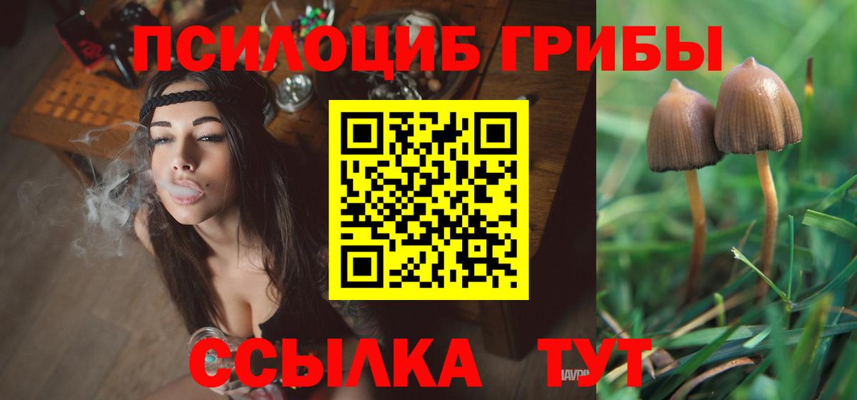 Псилоцибиновые грибы Cubensis Кашира